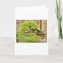 Suche nach bonsai karten Bäume