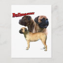 Suche nach bullmastiff postkarten Hund