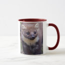 Suche nach mustelids tassen Marder