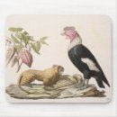 Suche nach gebürtig mousepads Nachher