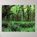 Suche nach waldboden poster Usa