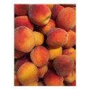 Suche nach pfirsich poster Orange