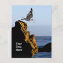 Suche nach seagull postkarten Meer