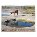 Suche nach yellowstone kalender Geysir