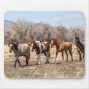 Suche nach schöne pferde mousepads Jede person