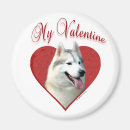 Suche nach sibirisch magnete Sibirischer husky