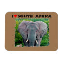 Suche nach junges tier magnete Safari