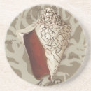 Suche nach seaside untersetzer Muschel im meer