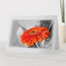 Suche nach orange hintergrund karten Blume