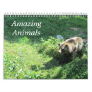 Suche nach wildes tier kalender Wilde tiere