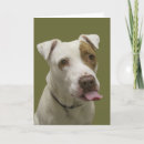 Suche nach zungen karten Für alle