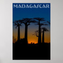 Suche nach baobab poster Silhouette
