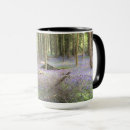 Suche nach bluebells Waldland