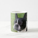 Suche nach boston terrier tassen Jede person