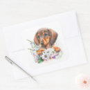 Suche nach dachshunds aufkleber Für sie