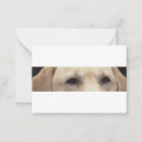 Suche nach labrador vatertagskarten Retriefe