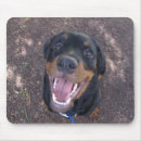Suche nach lächelnder hund mousepads Welpe