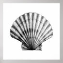 Suche nach meeresschnecke poster Vintage
