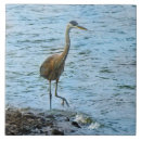 Suche nach blaues wasser fliesen Tier