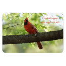 Suche nach rote vögel magnete Fotografie