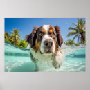 Suche nach bernard hund poster Haustier