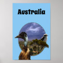 Suche nach australischer vogel poster Für alle