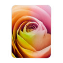 Suche nach blumenblätter magnete Blüte