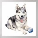 Suche nach vektoren poster Aquarell