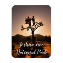 Suche nach joshua baum magnete Für alle