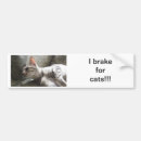 Suche nach ich bremse für katzen autoaufkleber Für alle