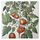 Suche nach veg fliesen Jahrhundert