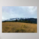 Suche nach chief poster Natur