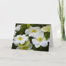 Suche nach weiße feder karten Gelb