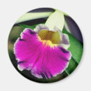 Suche nach lila orchidee magnete Natur