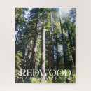 Suche nach redwood puzzle Rotholzpark