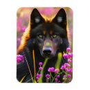 Suche nach schwarzer wolf magnete Schwarzwolf