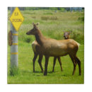 Suche nach elk fliesen Tierwelt