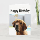 Suche nach mittelalter karten Für alle