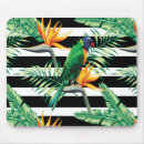 Suche nach paradiesvogel mousepads Grün