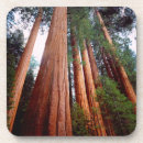 Suche nach franken untersetzer Color