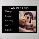 Suche nach weiner hund poster Dackel