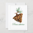 Suche nach pinus Wald