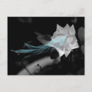 Suche nach heiler postkarten Natur