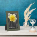 Suche nach natur fotoplatten Blume