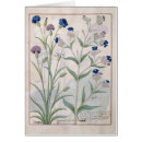 Suche nach heiler postkarten Medizinisch