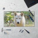 Suche nach grüner hintergrund mousepads Grau