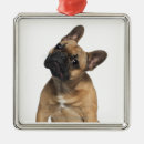 Suche nach monate ornamente Niedlich