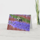 Suche nach stinger postkarten Bienen