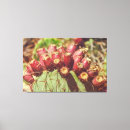 Suche nach birne leinwandbilder Obst