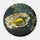 Suche nach salzwasser magnete Meer